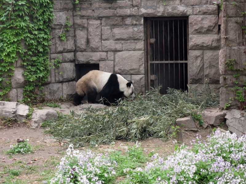 2012 China 081.jpg
